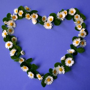 Daisy Heart