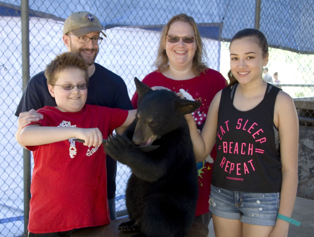 bears-family