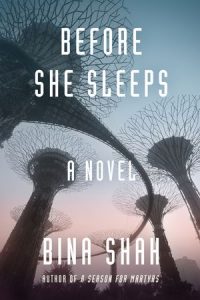 Before She Sleeps book cover